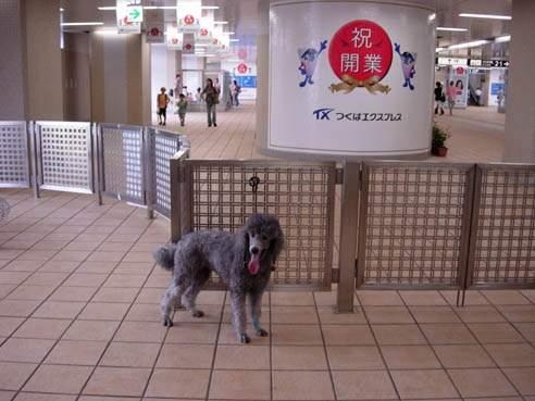 ootaka.jpg 492×369 56K