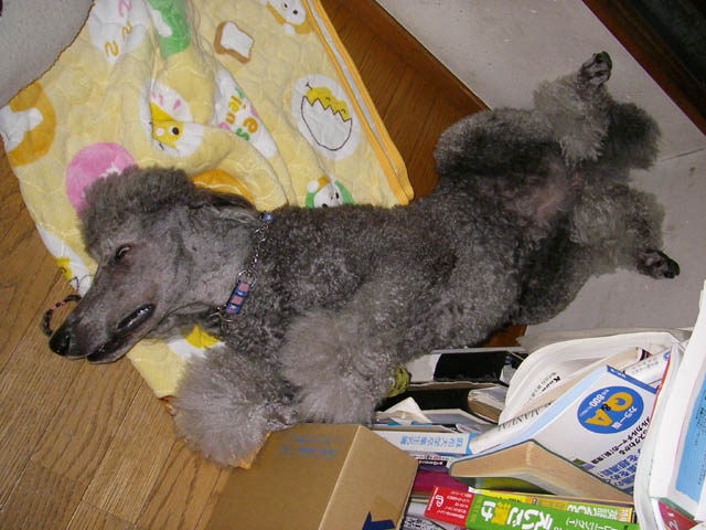 grp1027215601.jpg 640×480 83K
